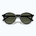 Ochelari de soare Ray-Ban Bernard black/green g-15 3
