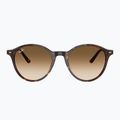 Ochelari de soare Ray-Ban Bernard havana/brown gradient 2