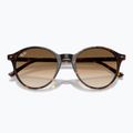 Ochelari de soare Ray-Ban Bernard havana/brown gradient 3