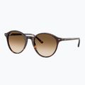 Ochelari de soare Ray-Ban Bernard havana/brown gradient 4