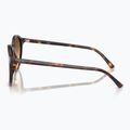 Ochelari de soare Ray-Ban Bernard havana/brown gradient 6