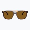 Ochelari de soare Ray-Ban RB2213 havana/brown b-15 2