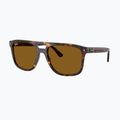 Ochelari de soare Ray-Ban RB2213 havana/brown b-15 4