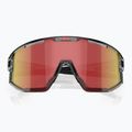 Ochelari de soare Bliz Vision transparent dark grey/brown red multi 3