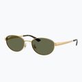 Ochelari de soare Ray-Ban RB3774D arista gold/dark green polarized 4