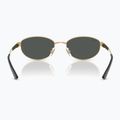 Ochelari de soare Ray-Ban RB3774D arista gold/dark grey 5