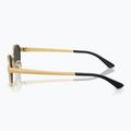 Ochelari de soare Ray-Ban RB3774D arista gold/dark grey 6