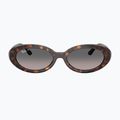 Ochelari de soare Ray-Ban RB2223 havana/gradient grey 2