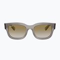 Ochelari de soare Ray-Ban RB2228M Scuderia transparent grey/brown mirror gold 2