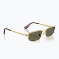Ochelari de soare Ray-Ban RB3927 By A$Ap Rocky