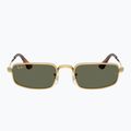 Ochelari de soare Ray-Ban RB3927 By A$Ap Rocky 2