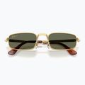 Ochelari de soare Ray-Ban RB3927 By A$Ap Rocky 3