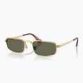 Ochelari de soare Ray-Ban RB3927 By A$Ap Rocky 4