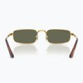 Ochelari de soare Ray-Ban RB3927 By A$Ap Rocky 5