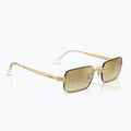 Ochelari de soare Ray-Ban RB3928 By A$Ap Rocky arista gold/brown gold