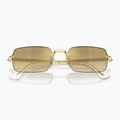 Ochelari de soare Ray-Ban RB3928 By A$Ap Rocky arista gold/brown gold 3