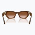 Ochelari cu cameră Ray-Ban Meta Zena havana/gradient brown 3