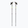 Fizan Speed Impulse, bețe de nordic walking gri S21 7540