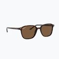 Ochelari de soare Ray-Ban Leonard tortoise/brown polarized
