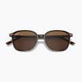 Ochelari de soare Ray-Ban Leonard tortoise/brown polarized 3