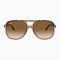 Ochelari de soare Ray-Ban Bill havana brown/transparent brown 2