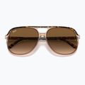 Ochelari de soare Ray-Ban Bill havana brown/transparent brown 3