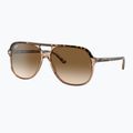 Ochelari de soare Ray-Ban Bill havana brown/transparent brown 4