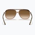 Ochelari de soare Ray-Ban Bill havana brown/transparent brown 5