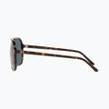 Ochelari de soare Ray-Ban Bill havana/blue 7