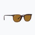 Ochelari de soare Ray-Ban Elliot havana brown/black polarized