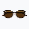 Ochelari de soare Ray-Ban Elliot havana brown/black polarized 3