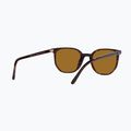 Ochelari de soare Ray-Ban Elliot havana brown/black polarized 6