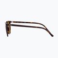 Ochelari de soare Ray-Ban Elliot havana brown/black polarized 7