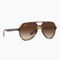 Ochelari de soare Ray-Ban RB4376 havana/brown gradient