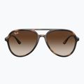 Ochelari de soare Ray-Ban RB4376 havana/brown gradient 2