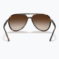 Ochelari de soare Ray-Ban RB4376 havana/brown gradient 5