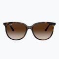 Ochelari de soare Ray-Ban RB4378 havana/brown gradient 2