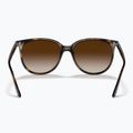 Ochelari de soare Ray-Ban RB4378 havana/brown gradient 3