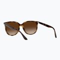 Ochelari de soare Ray-Ban RB4378 havana/brown gradient 4