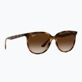 Ochelari de soare Ray-Ban RB4378 havana/brown gradient 5