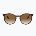 Ochelari de soare Ray-Ban RB2204 havana/light brown 2