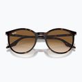 Ochelari de soare Ray-Ban RB2204 havana/light brown 3