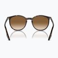 Ochelari de soare Ray-Ban RB2204 havana/light brown 5
