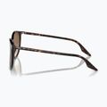 Ochelari de soare Ray-Ban RB2204 havana/light brown 6