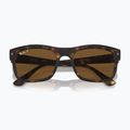 Ochelari de soare Ray-Ban RB4428 havana matte/brown polarized 3