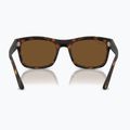 Ochelari de soare Ray-Ban RB4428 havana matte/brown polarized 5