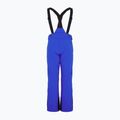 EA7 Emporio Armani pantaloni de schi pentru bărbați Pantaloni 6RPP27 nou albastru regal 2