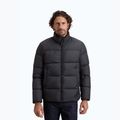 Geacă pentru bărbați Kurtka Woolrich Cloud Eagle falcon