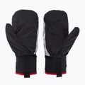 Mănuși de schi Level Ski Alper Light black 5