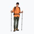 Pantaloni de trekking pentru bărbați Montura Mountain Trek verde salvia 2